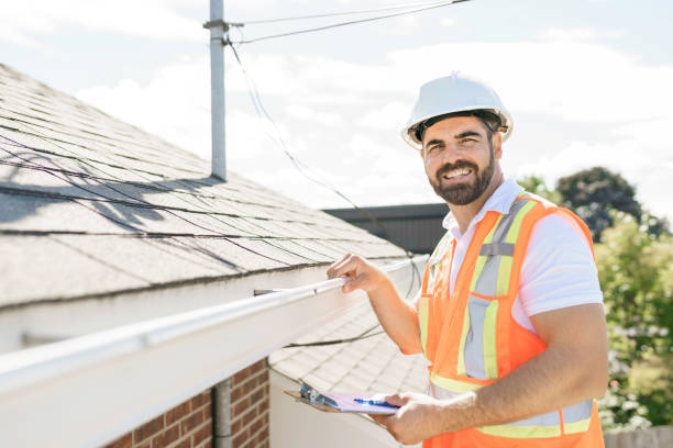Roof Gutter Cleaning in Willow Springs, MO